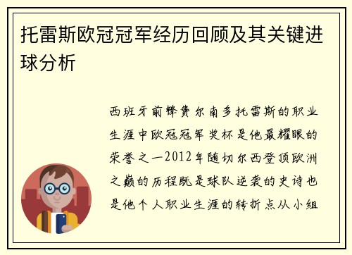 托雷斯欧冠冠军经历回顾及其关键进球分析