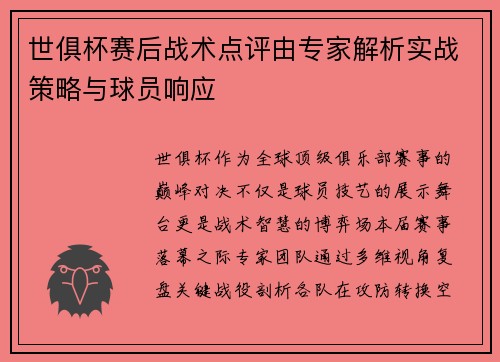 世俱杯赛后战术点评由专家解析实战策略与球员响应